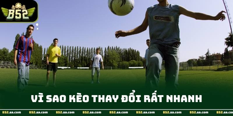 Người chơi cần hiểu nguyên nhân biến động, không chỉ phản ứng theo con số.